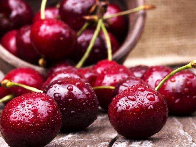 Вишня купить саженцы из питомника в Нальчике